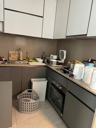 Normanton Park (D5), Apartment #507918701